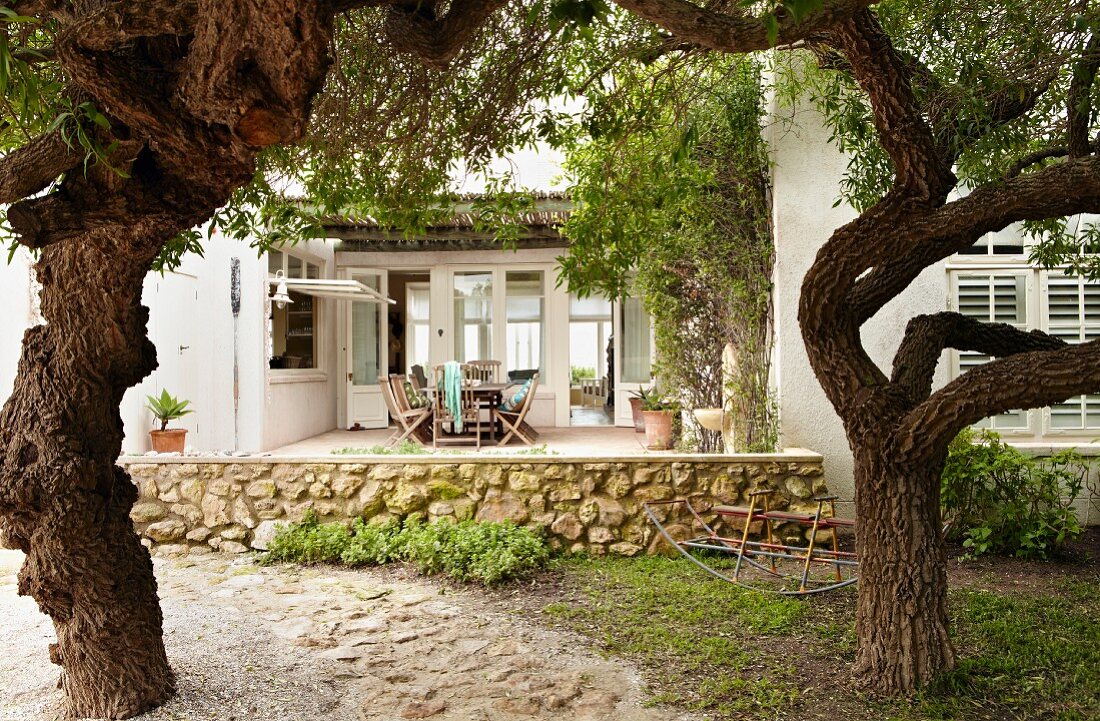 View from garden between gnarled trees to furnished terrace of country house