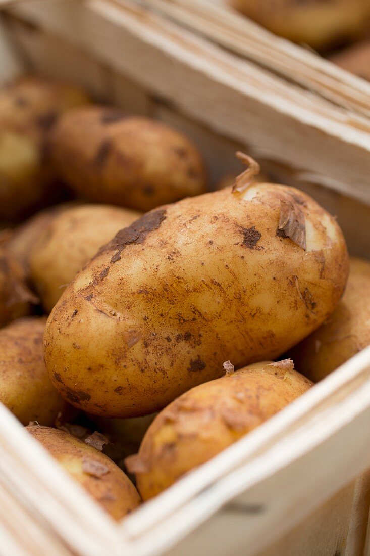 Kartoffeln im Spankorb