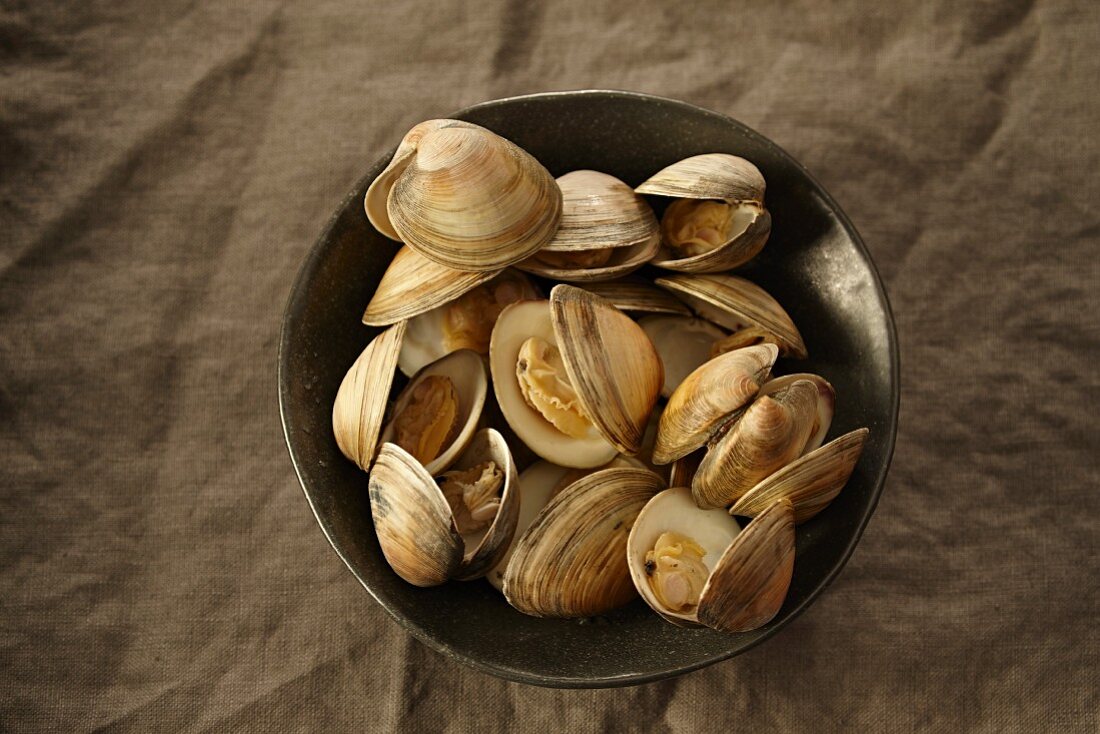 Littleneck clams in a bowl
