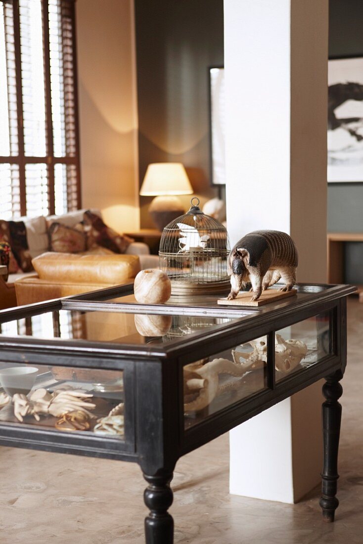 Ornaments in display-case coffee table with turned legs, vintage birdcage and mounted, stuffed armadillo in front of pillar in open-plan, country-house-style interior