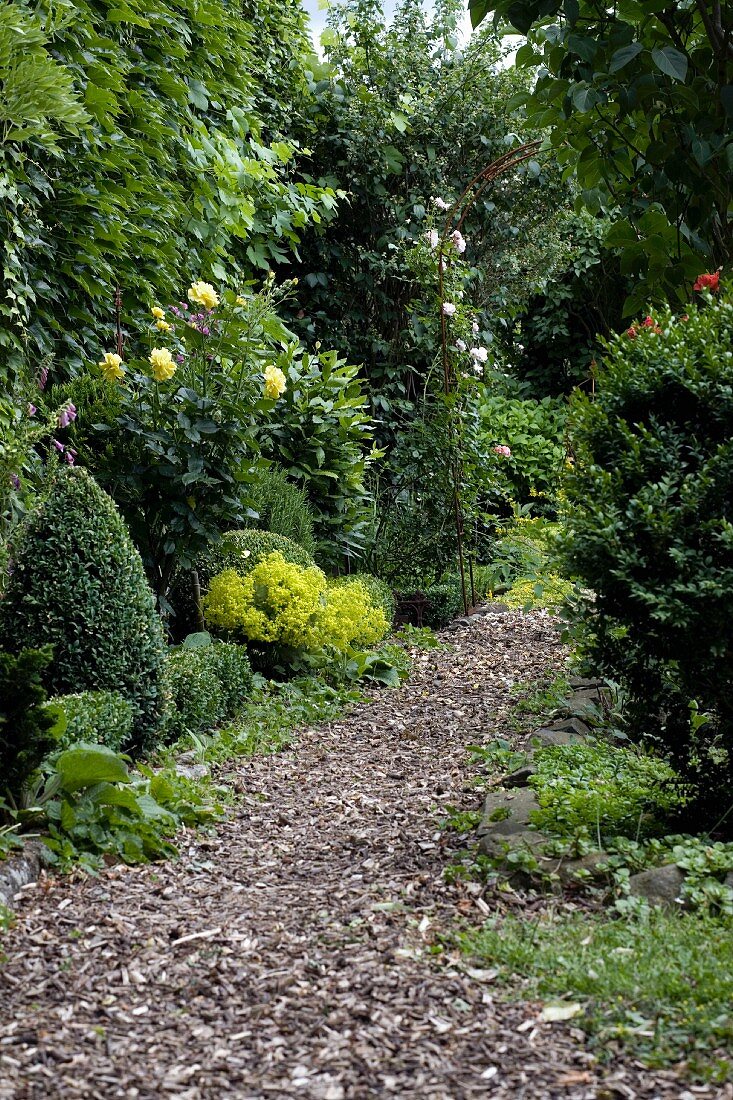 Eingewachsener Pfad in naturnah gestaltetem Garten