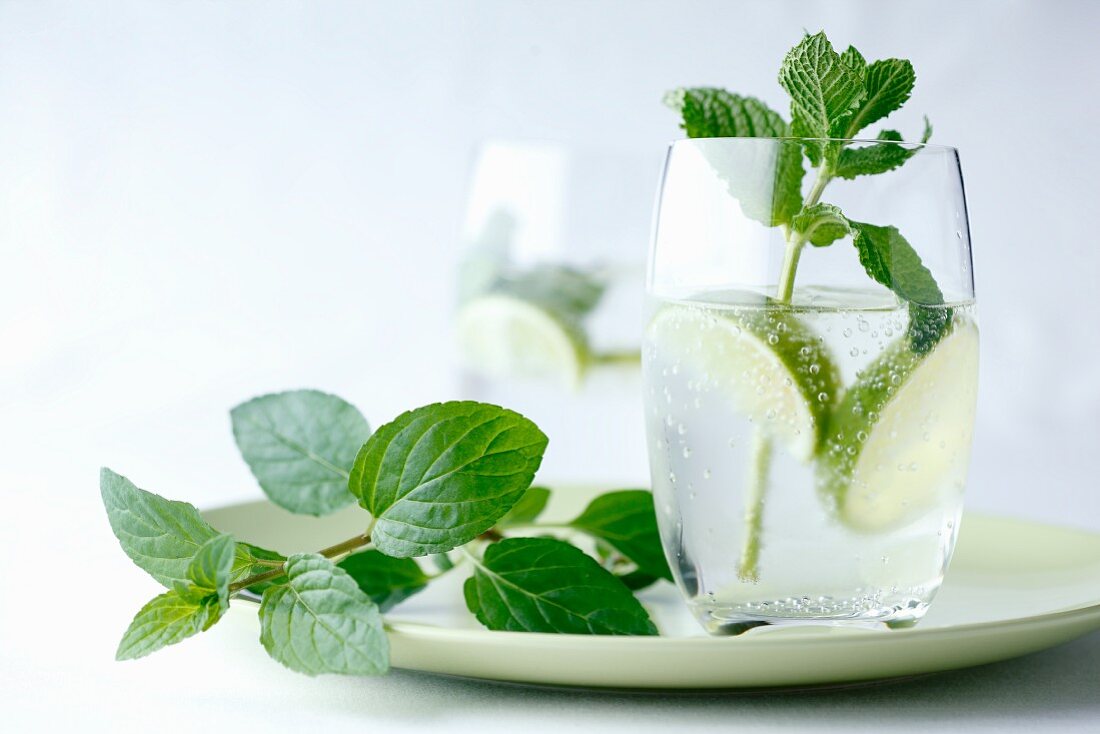 Fresh mint in a glass of water with limes on a green plate