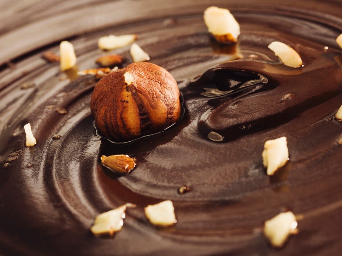 Hazelnuts in chocolate cream (close-up)