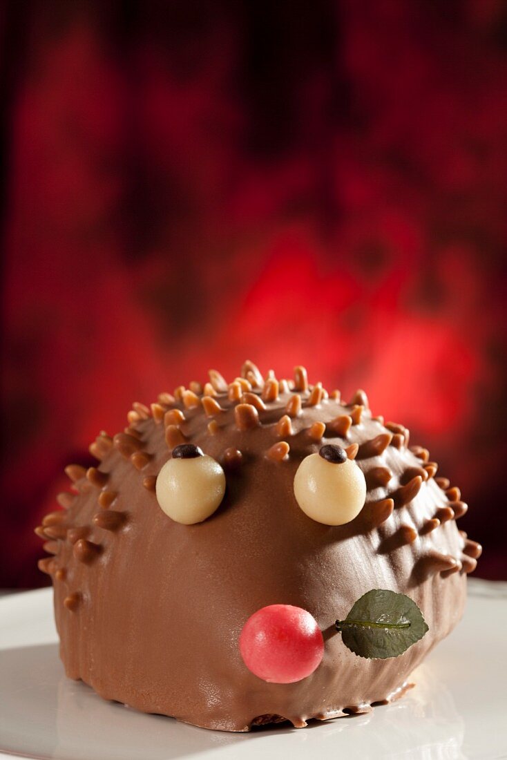A chocolate hedgehog cake (close-up)