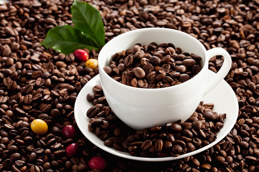 Roasted coffee beans with a coffee cup