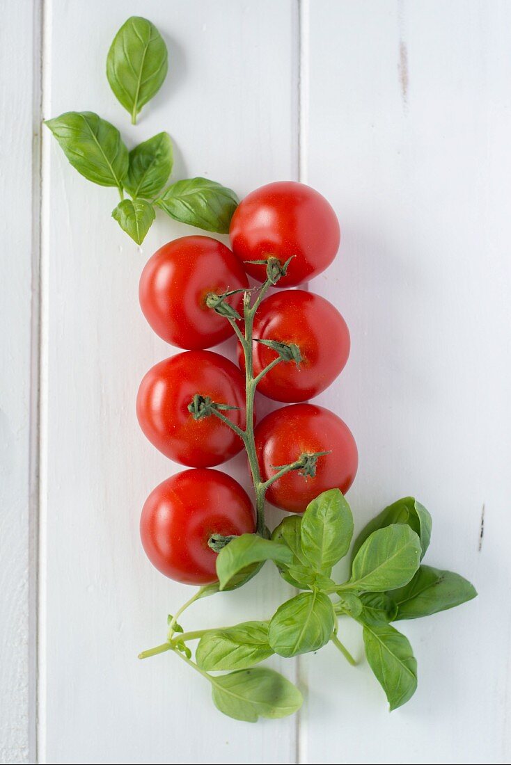 Vine tomatoes with fresh basil