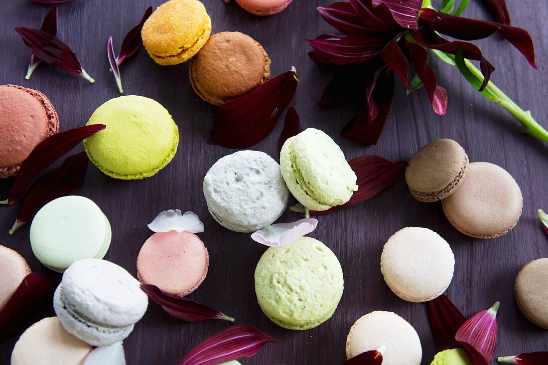 Verschiedene Macarons