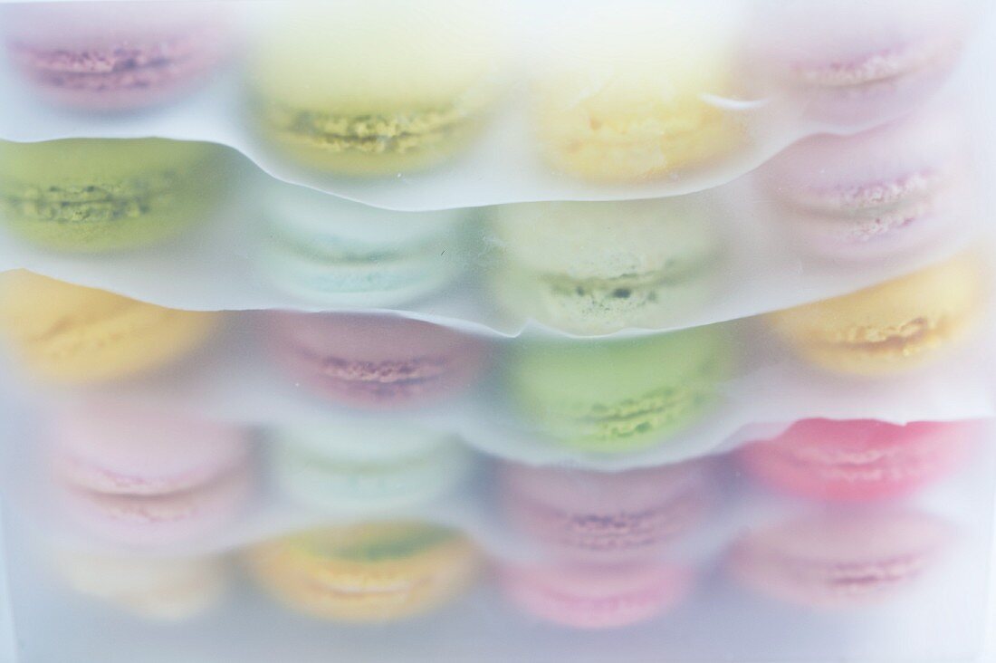 Layers of macaroons separated by sheets of paper in a plastic box