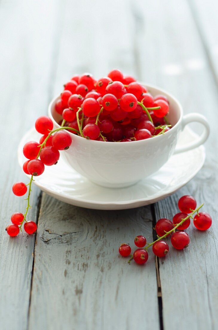 A cup of redcurrants