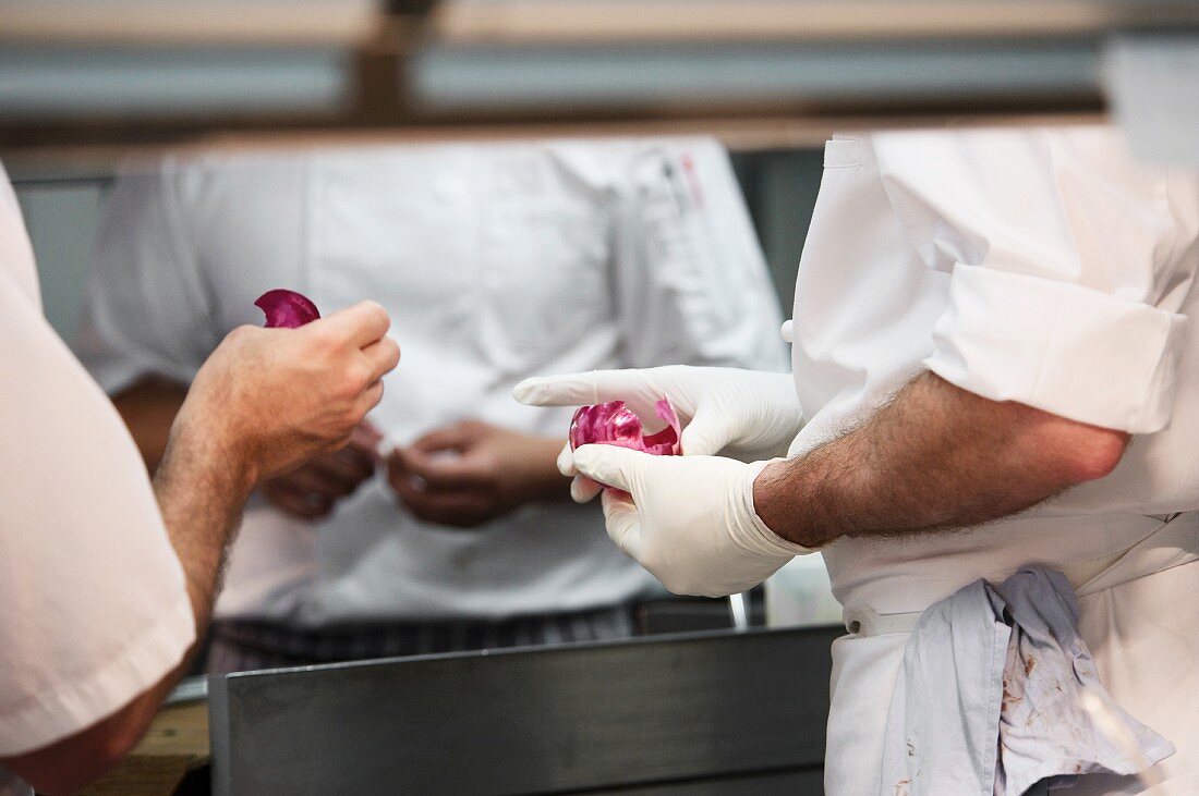 Köche diskutieren in der Restaurantküche