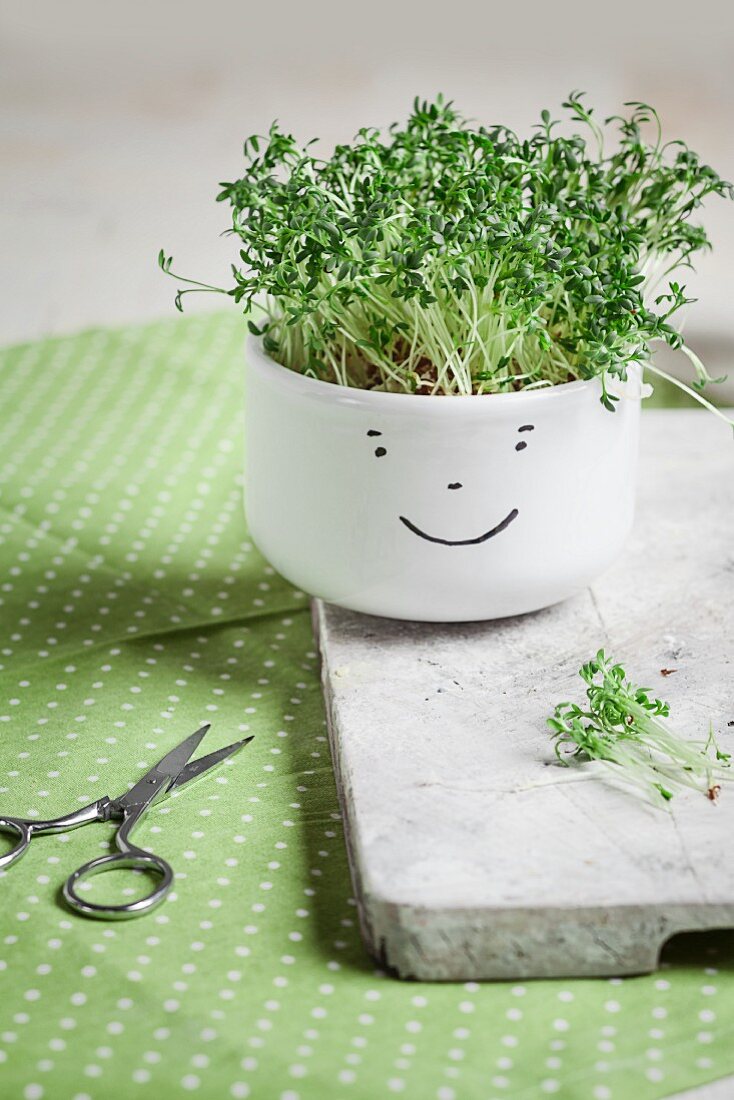 Cress in a white bowl painted with a smiley face on a white wooden board next to a pair of scissors