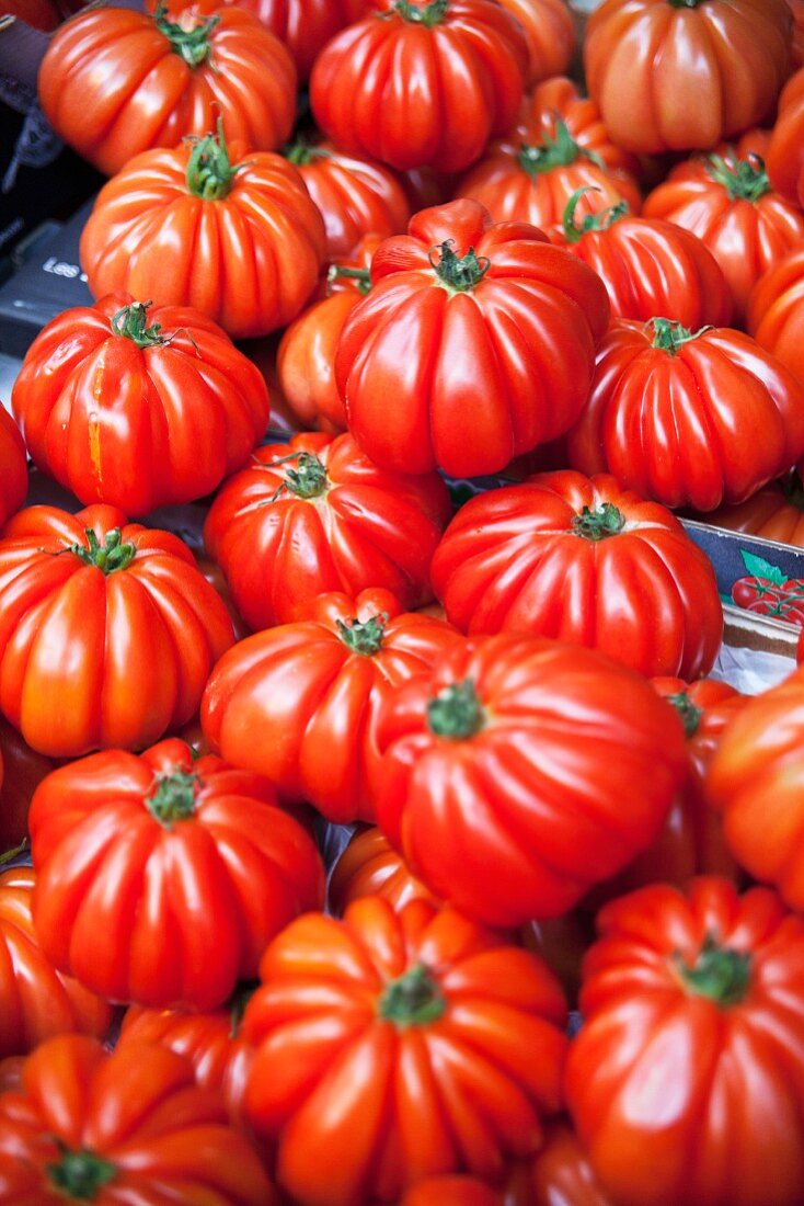 Viele Costoluto Genovese Tomaten auf einem Marktstand
