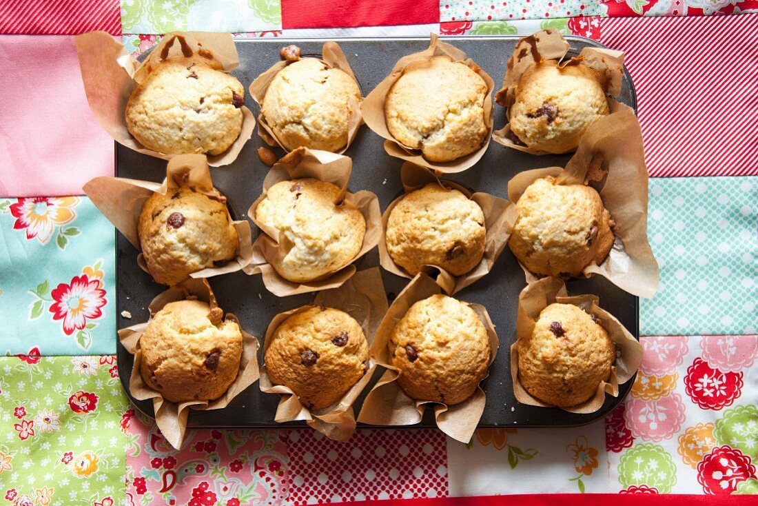 Freshly baked choc-chip muffins on a baking tray