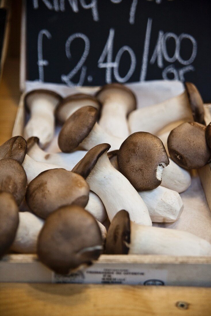 A crate of porcini mushrooms on a market stall in London