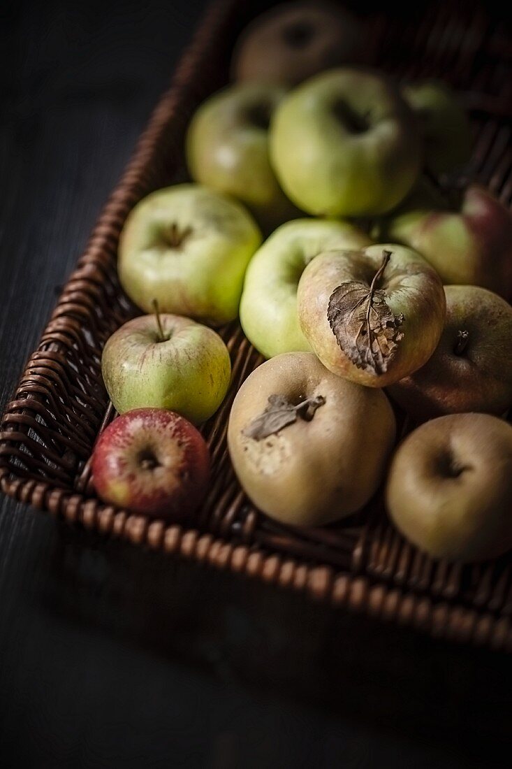 A basket of freshly picked apples