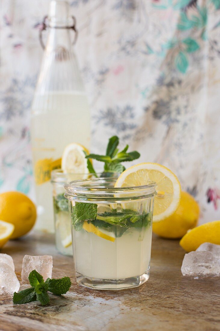 Lemon and mint cocktails with ingredients