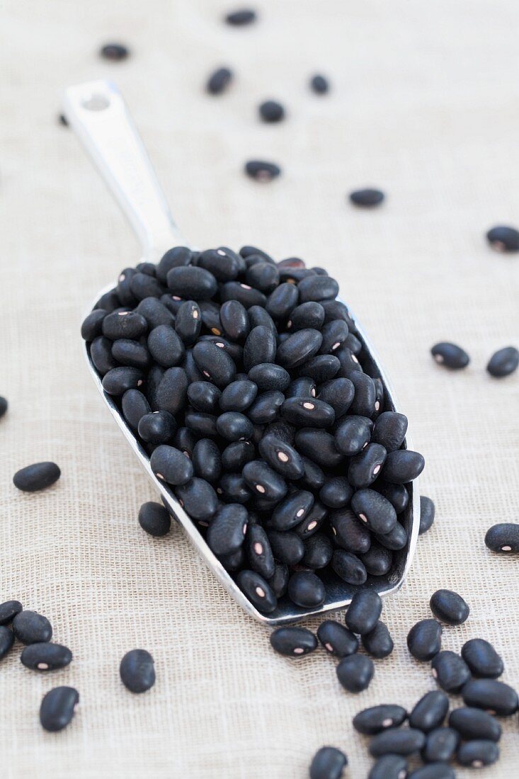 Black beans on a metal scoop