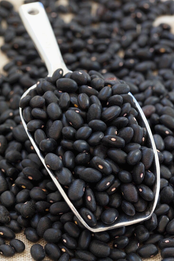 A pile of black beans with a metal scoop