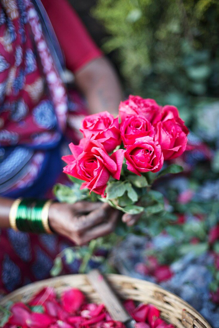 Frau mit roten Rosen auf einem Blumenmarkt in Mumbai, Indien