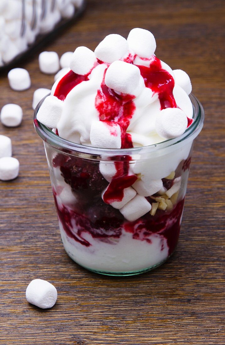 Frozen Joghurt mit Himbeeren und Marshmallows