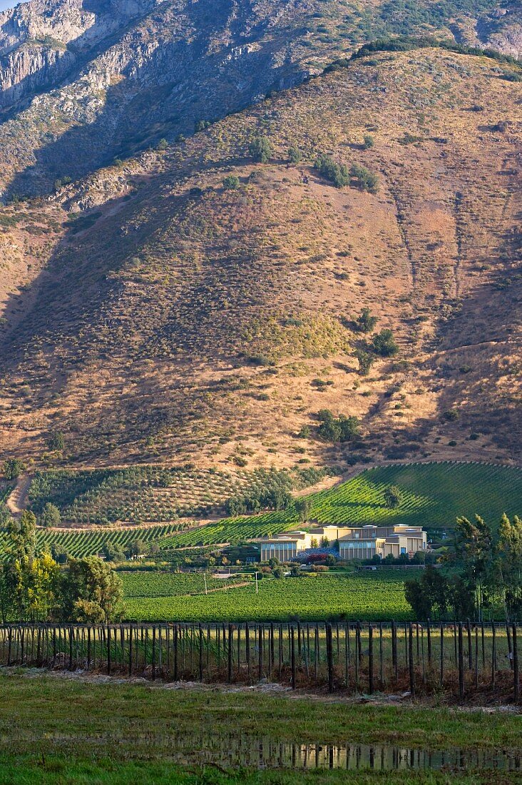 Ausläufer der Anden mit Blick auf das Weingut Haras de Pirque, Pirque, Maipo Valley, Chile