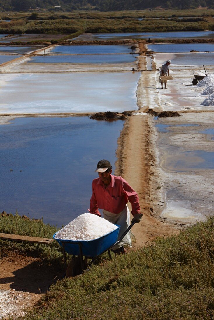 Männer sammeln Salz aus den Gezeiten-Salzpfannen in Cahuil, Colchagua, Chile