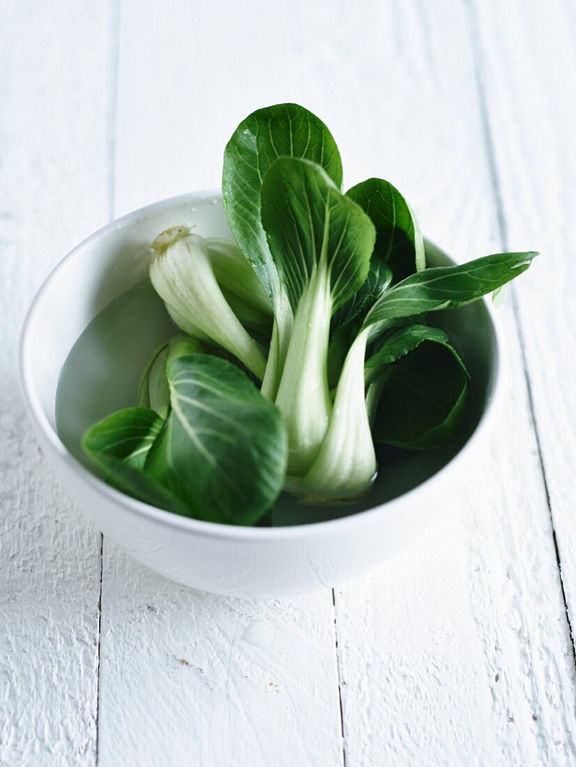Bok choy in a bowl of water