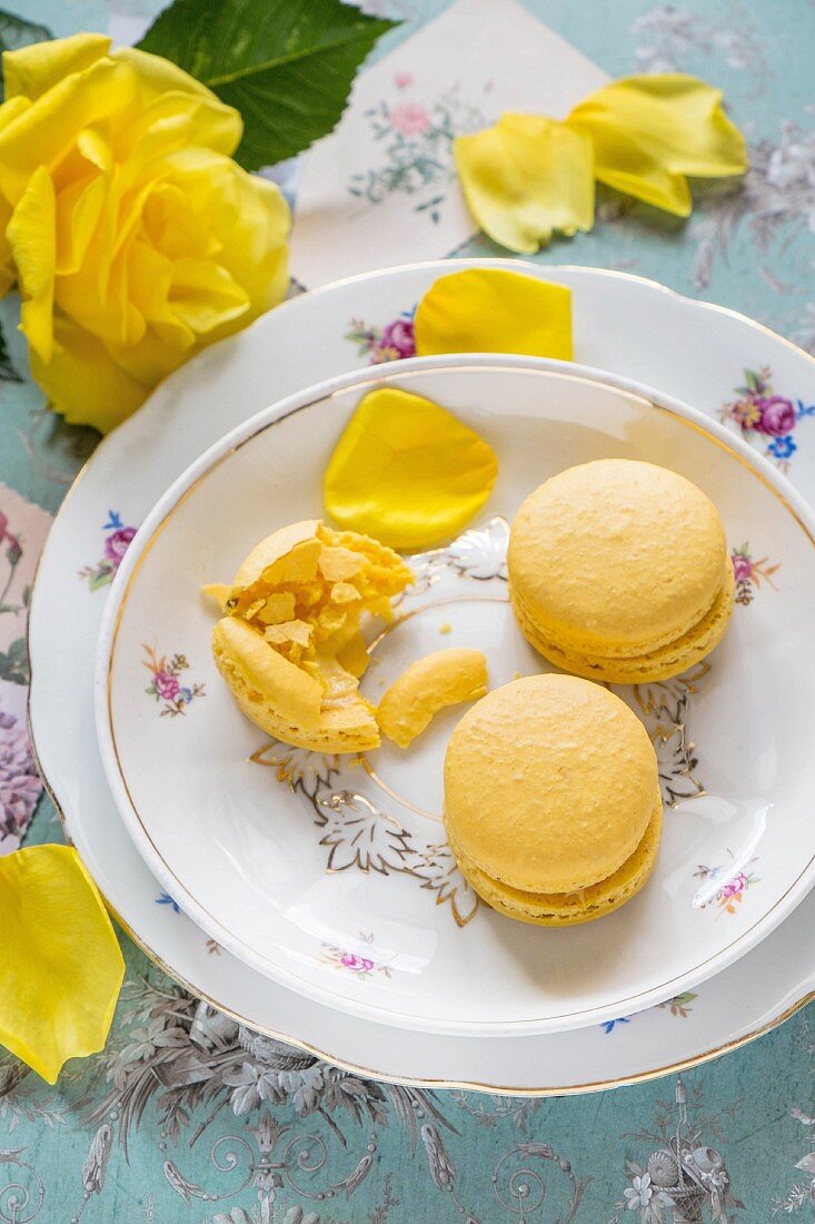 Macarons gefüllt mit weisser Schokoladecreme