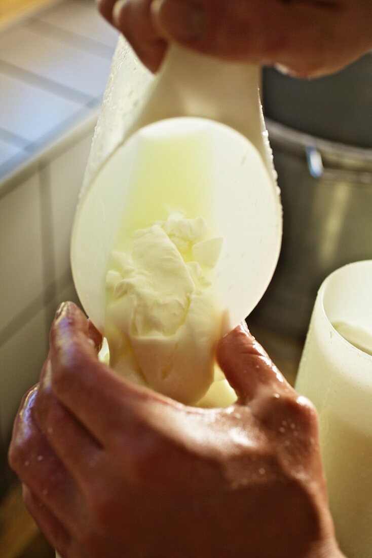 Goat's cream cheese being made (Bregenzerwald, Vorarlberg, Austria)