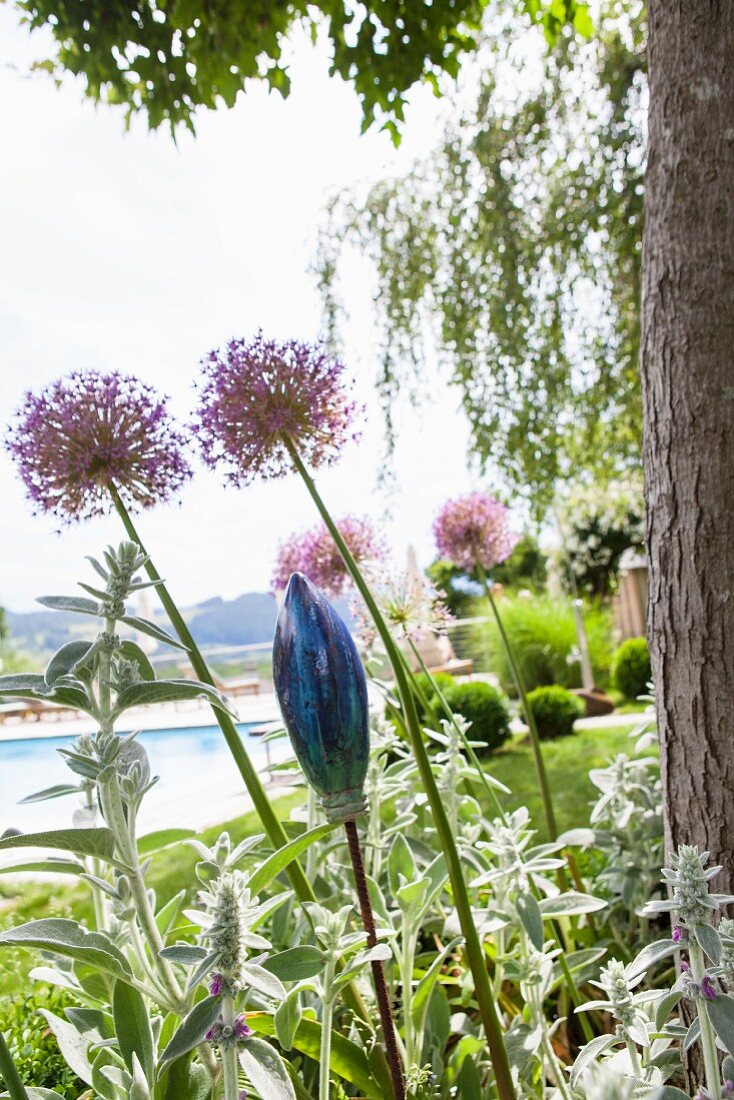 Garden ornament amongst alliums and Stachys (woundwort) in front of pool in park-style garden