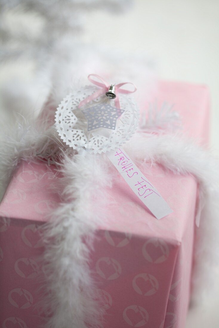 Wrapped gift decorated with star & feathery ribbon