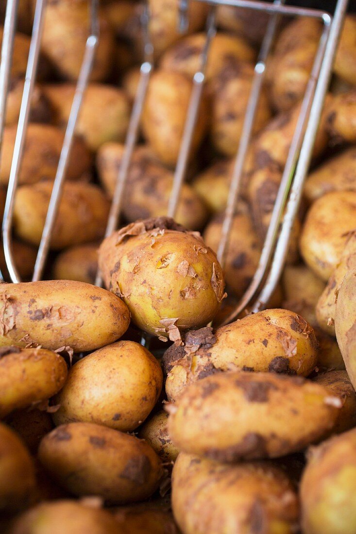New potatoes with a metal scoop