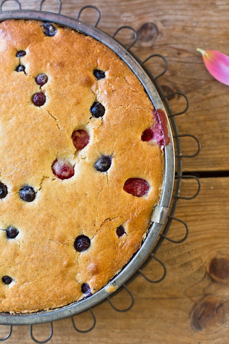 A berry cake in a baking tin
