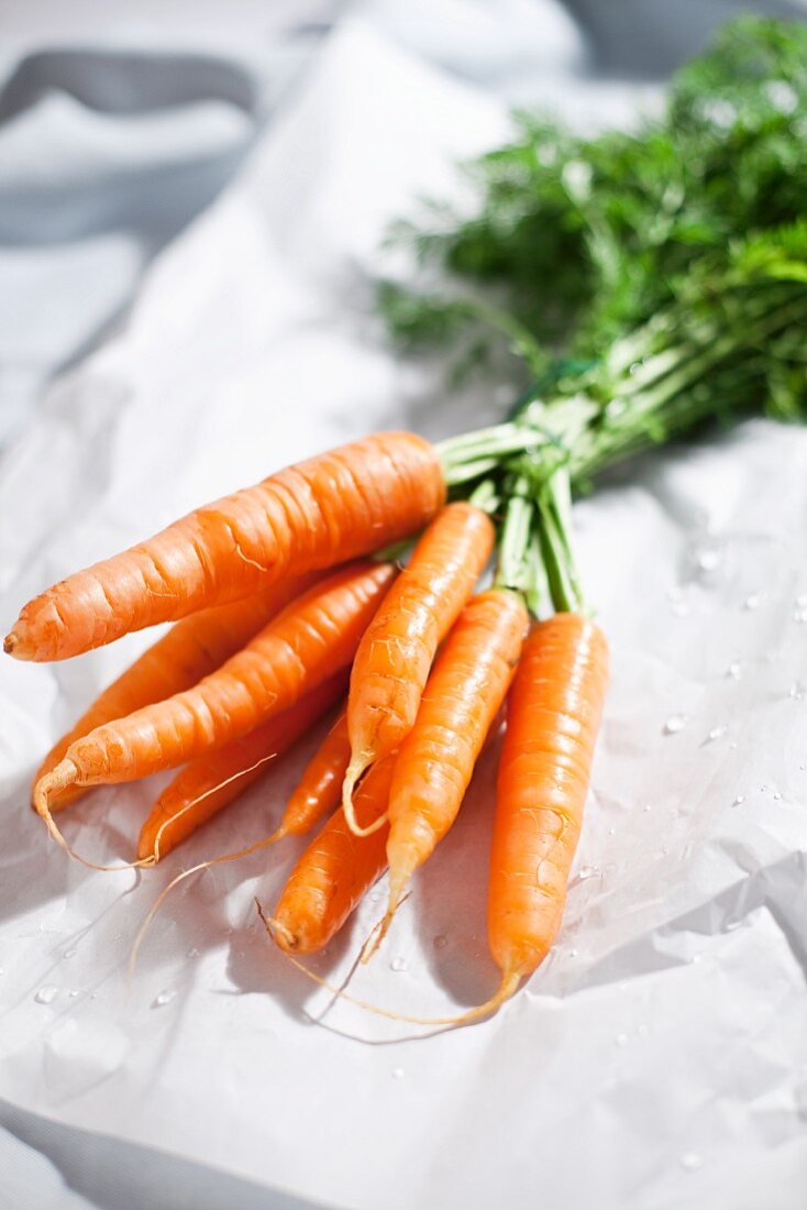 Fresh carrots on paper