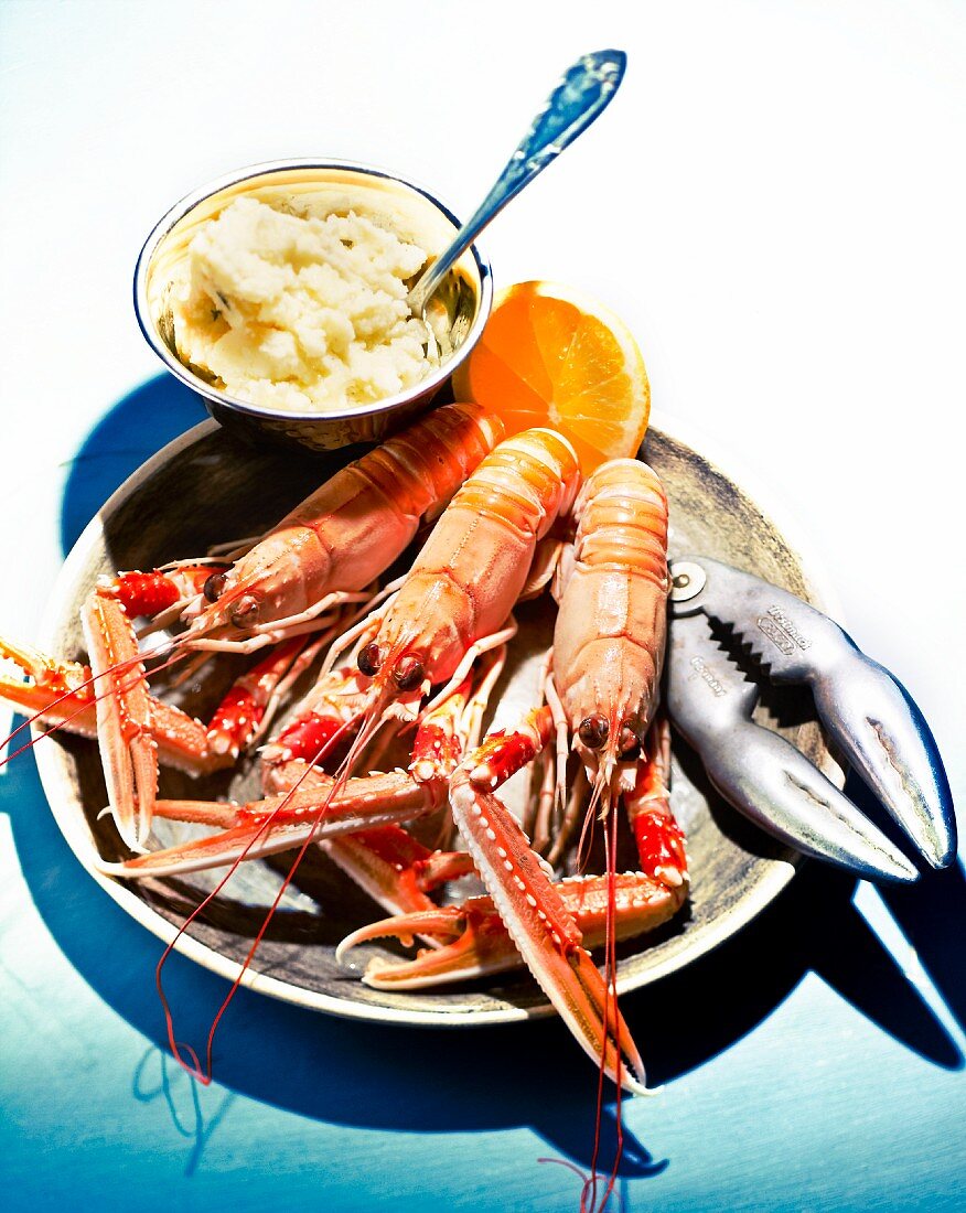 Scampi with mashed potatoes