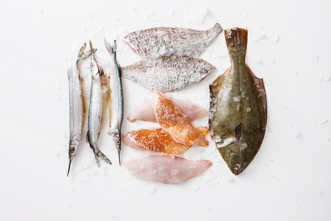 Various types of fish and fish fillets for grilling