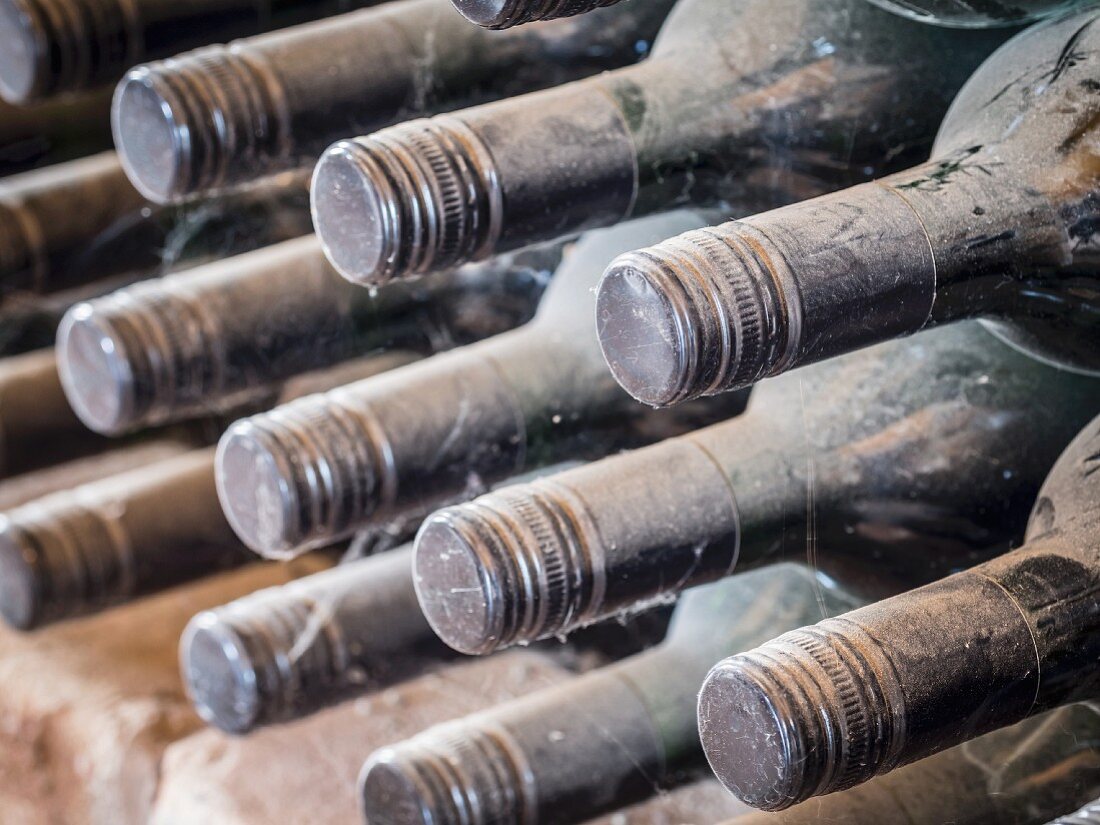 Bottles of wine stored in a cellar in the Kakheti wine region, Georgia, Caucasus