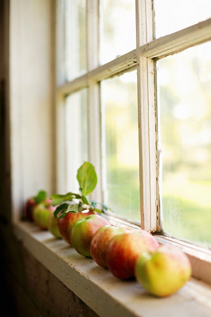 Eine Reihe frischer Äpfel am Fensterbrett