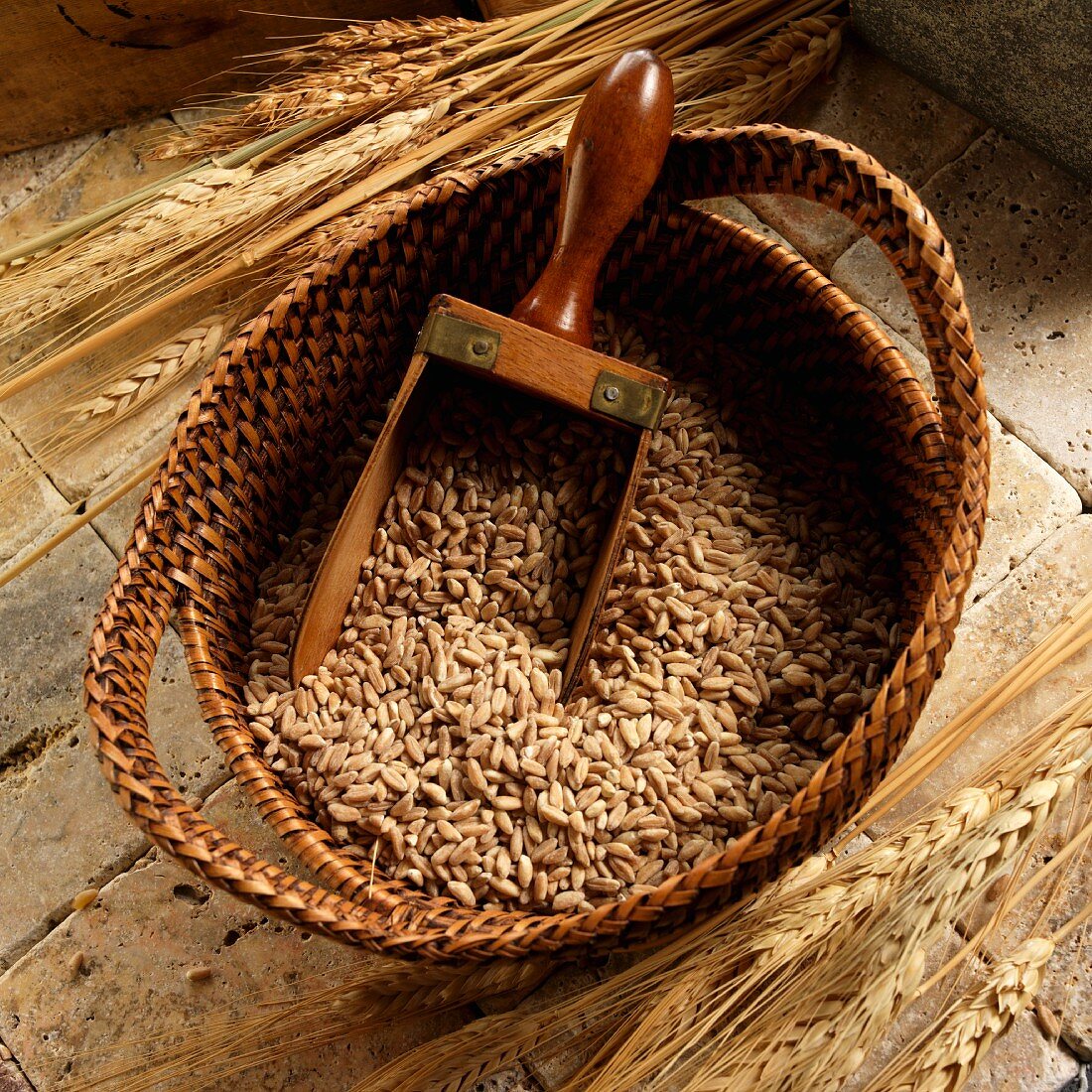 Farro (Italian wheat) in basket with a scoop