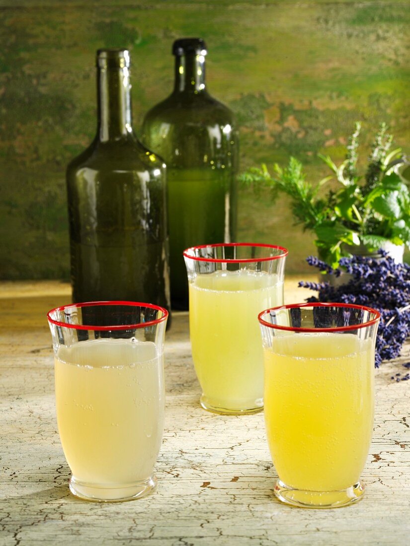 Verschiedene Limonaden (Lavendel, Stevia-Kräuter, Gurken-Dill)