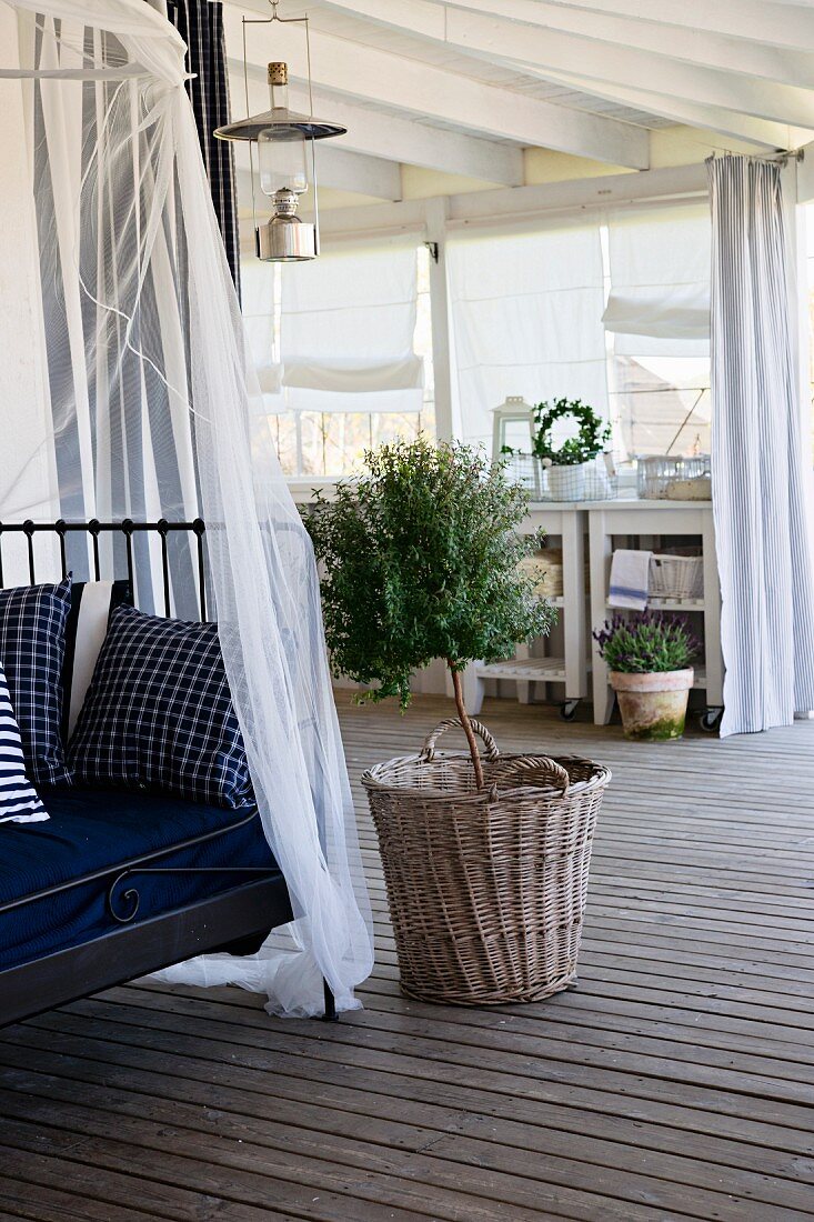 Metal day bed with cushions and canopy next to small tree in basket on wooden veranda