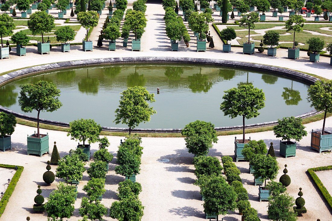 The Orangerie at the Palace of Versailles