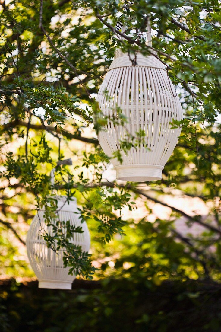 White slatted lanterns hanging in summery broad-leafed trees