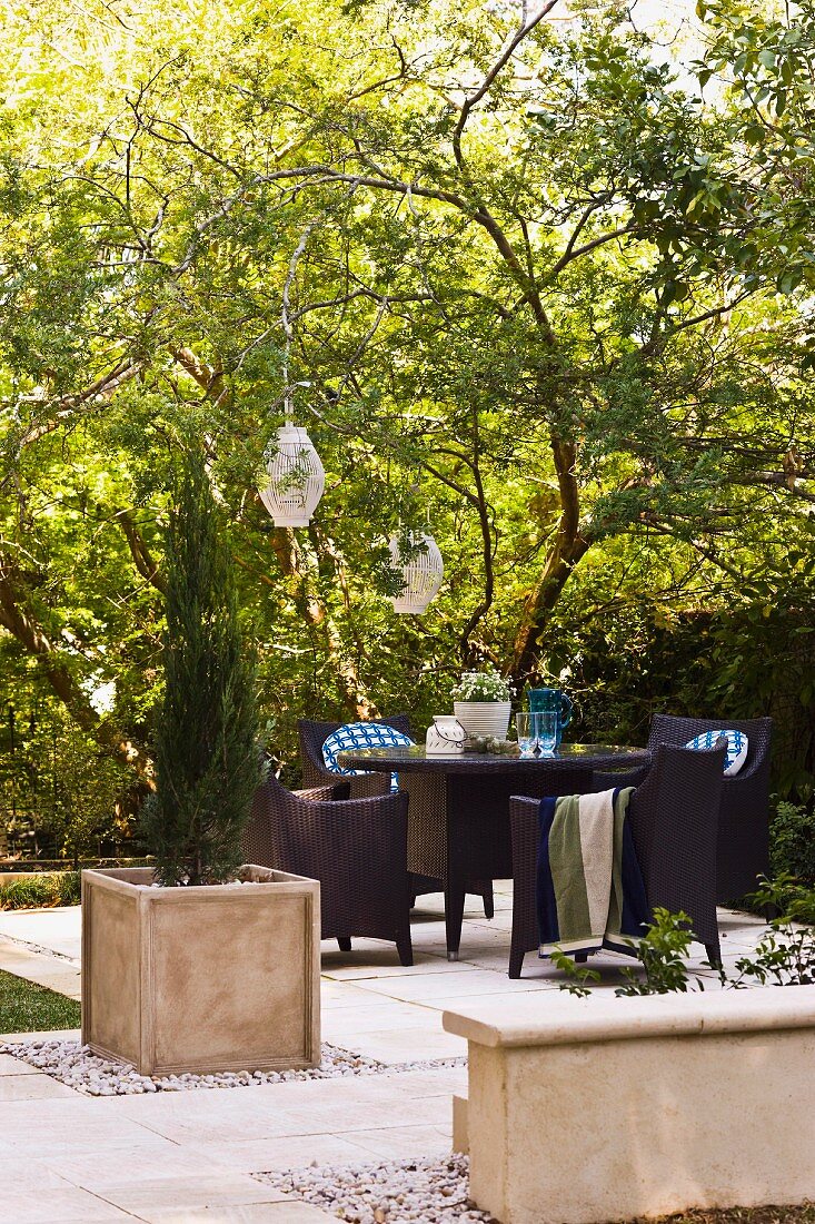 Outdoor-Möbel und Pflanzenbehälter mit Zypresse auf gepflasterter Fläche im Garten