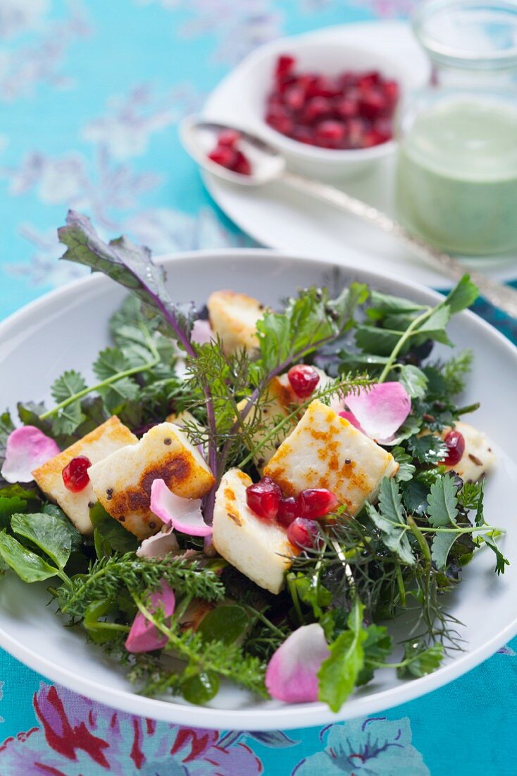 A wild herb salad with Paneer cheese and pomegranate seeds