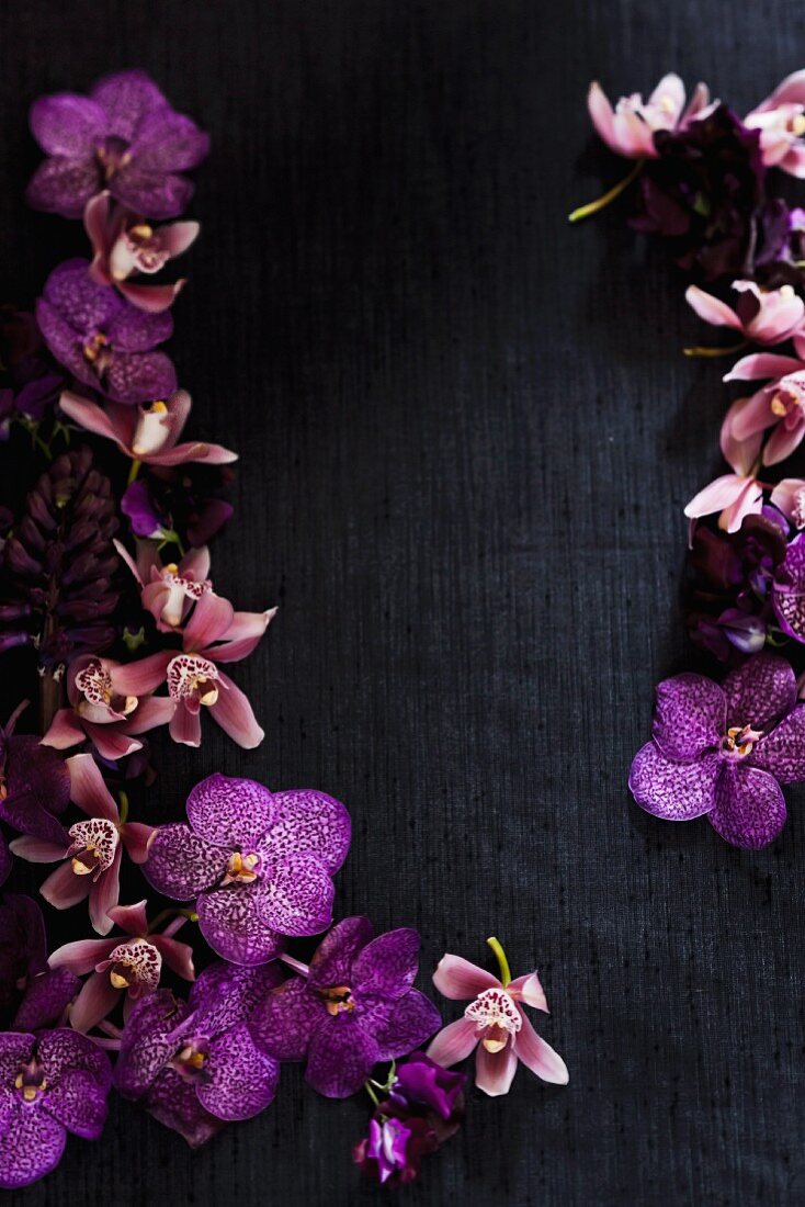 Purple orchids on black silk creating a frame