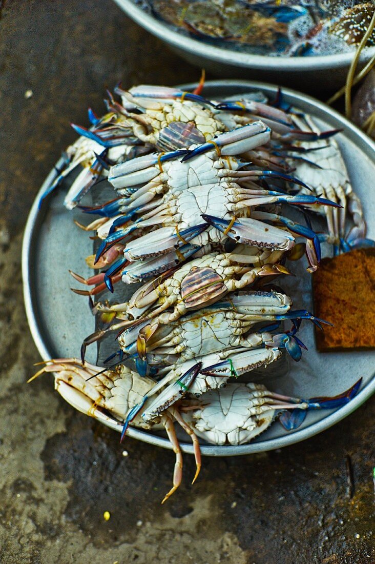 Frische Blaukrabben auf einem Markt in Saigon (Vietnam)