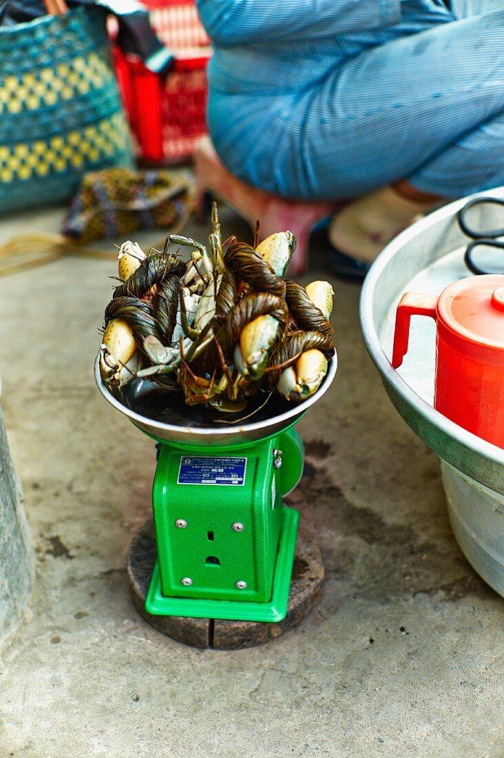 Zusammengebundene Krabben auf einem Markt in Saigon (Vietnam)