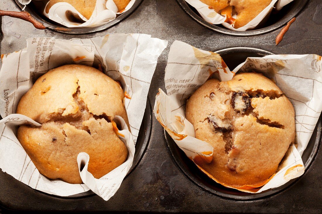 Vanilla-Cranberry-Muffins in einem Muffinblech