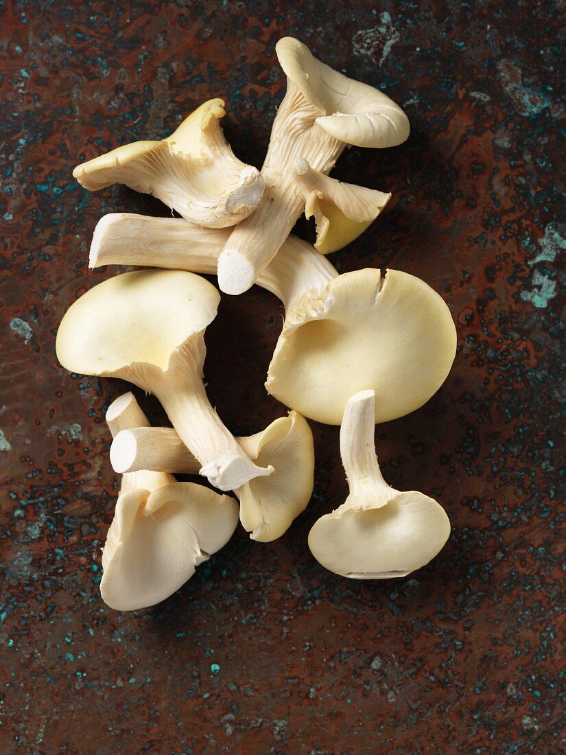 Yellow oyster mushrooms